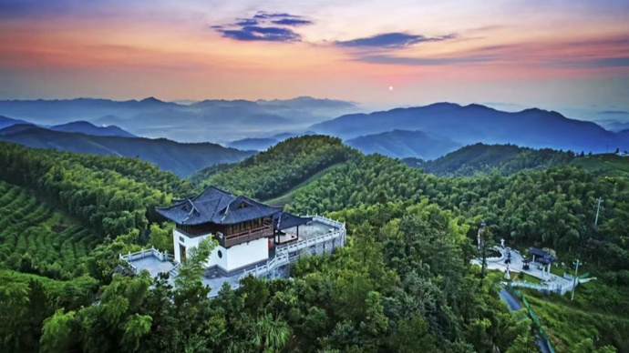 每年举办三, 除了精彩绝 每年举办三, 除了精彩绝